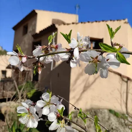 Refugi De Muntanya Els Masets Hostel La Riba